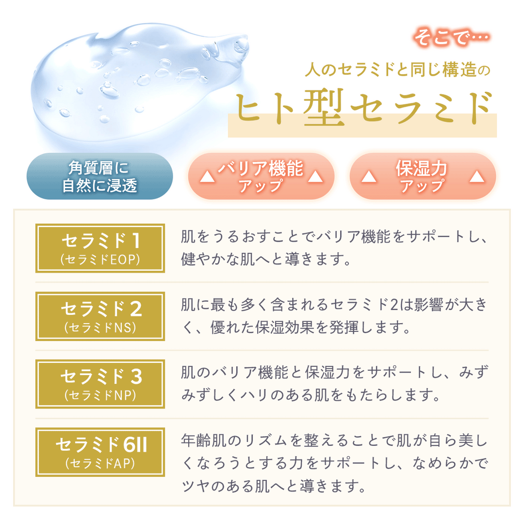 ヒト型セラミド クリーム 顔フェイス用【夜用】30g