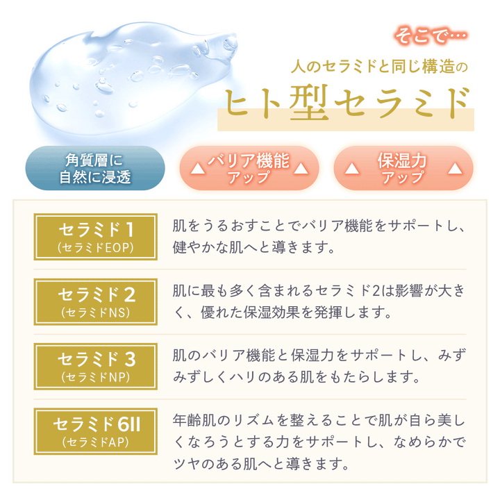 ヒト型セラミド クリーム 顔フェイス用【夜用】30g