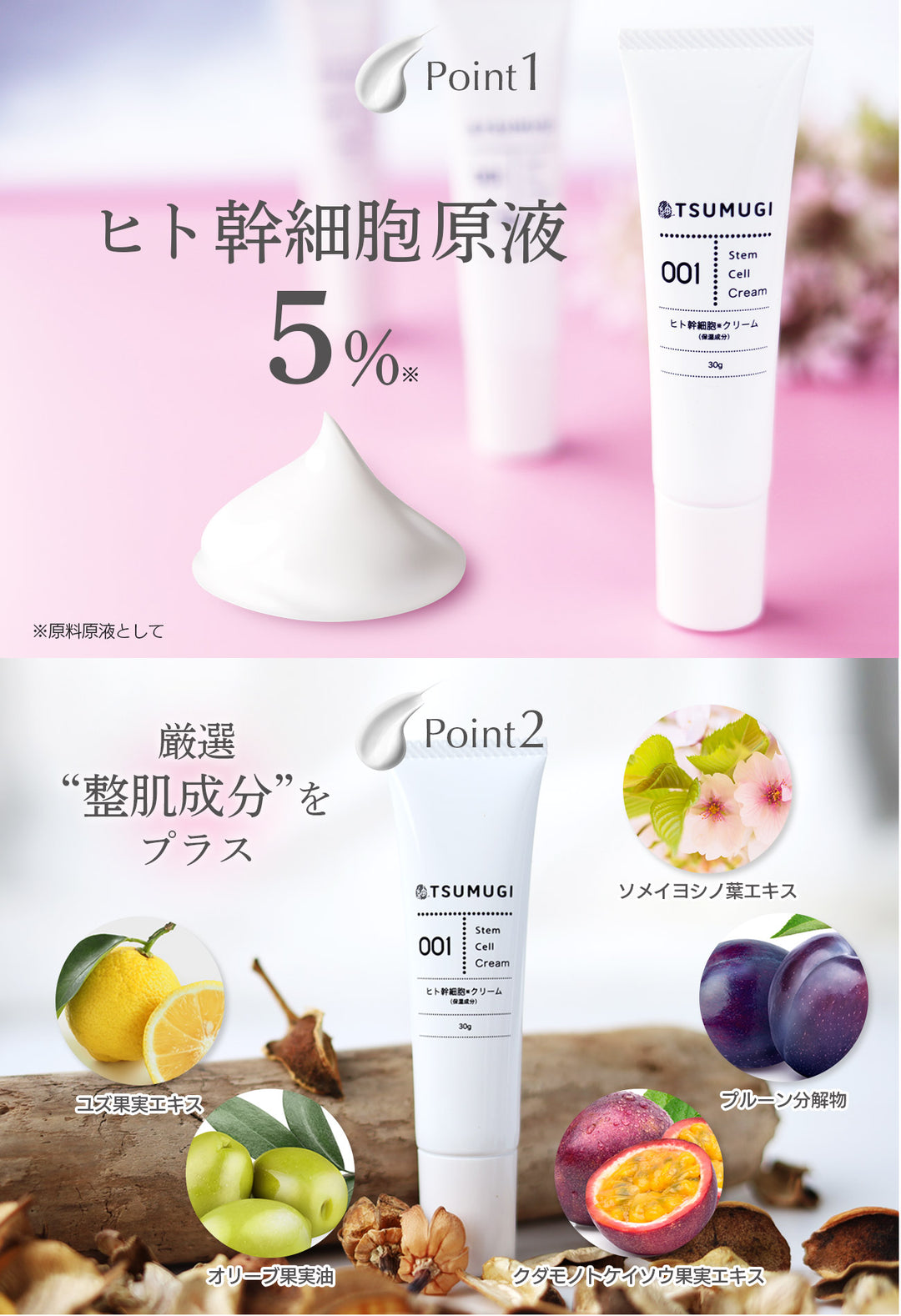 つむぎ ヒト幹細胞 クリーム ヒト幹細胞 原液5%配合 30g