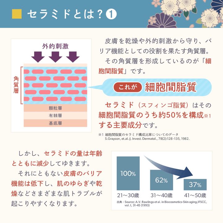 ヒト型セラミド クリーム 顔フェイス用【夜用】30g