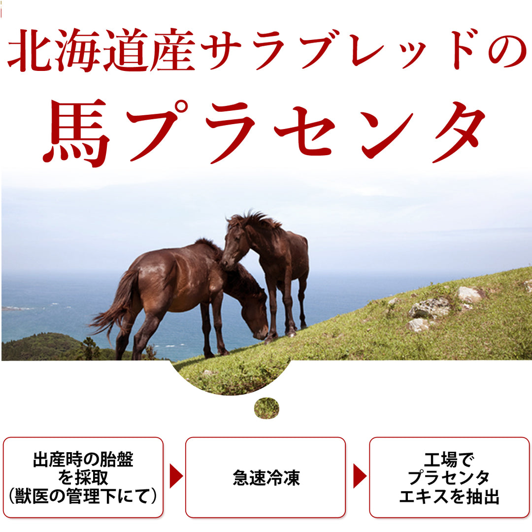 プラセンタ 美容液 国産 馬 プラセンタ美容液（馬プラセンタエキス）