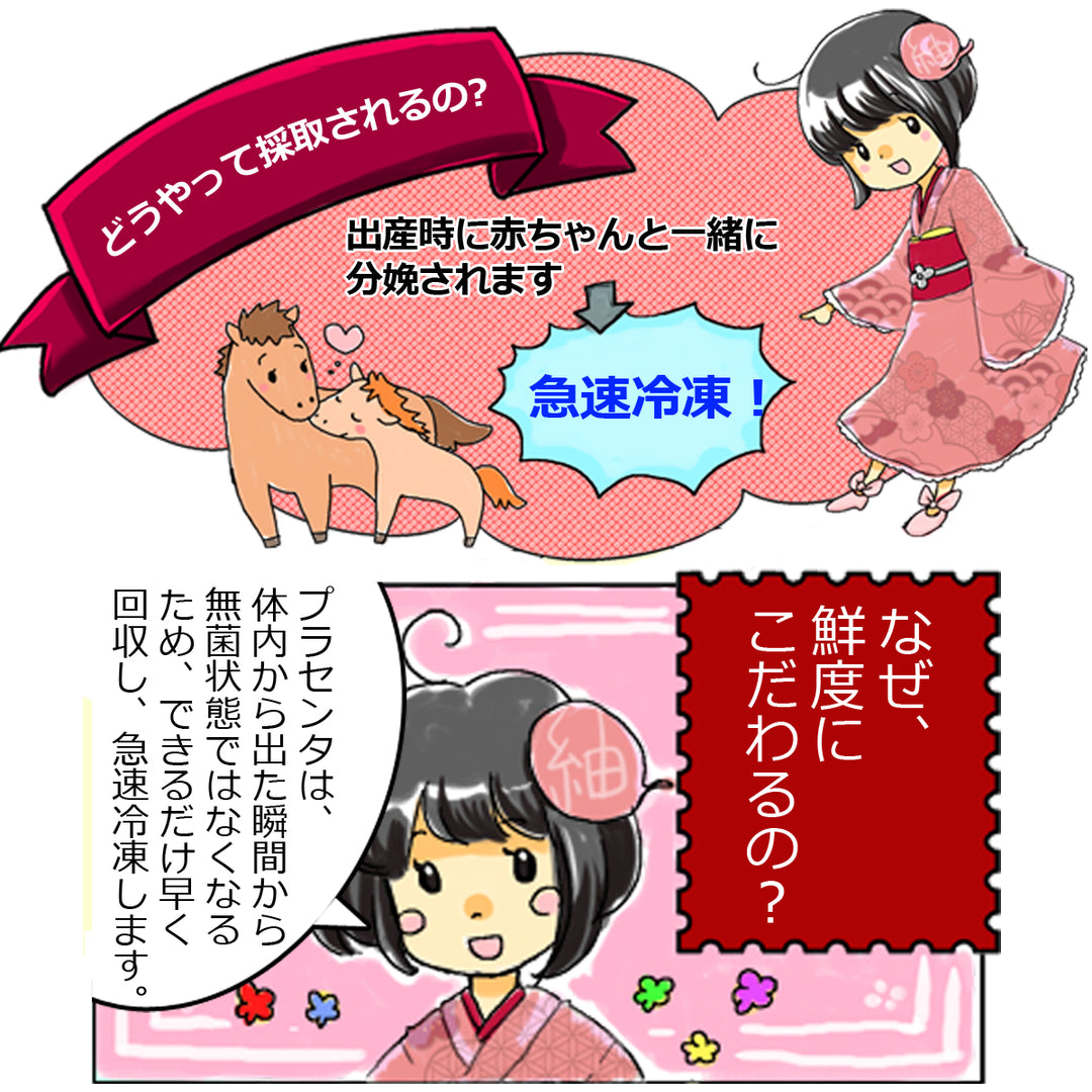プラセンタ 美容液 国産 馬 プラセンタ美容液（馬プラセンタエキス）
