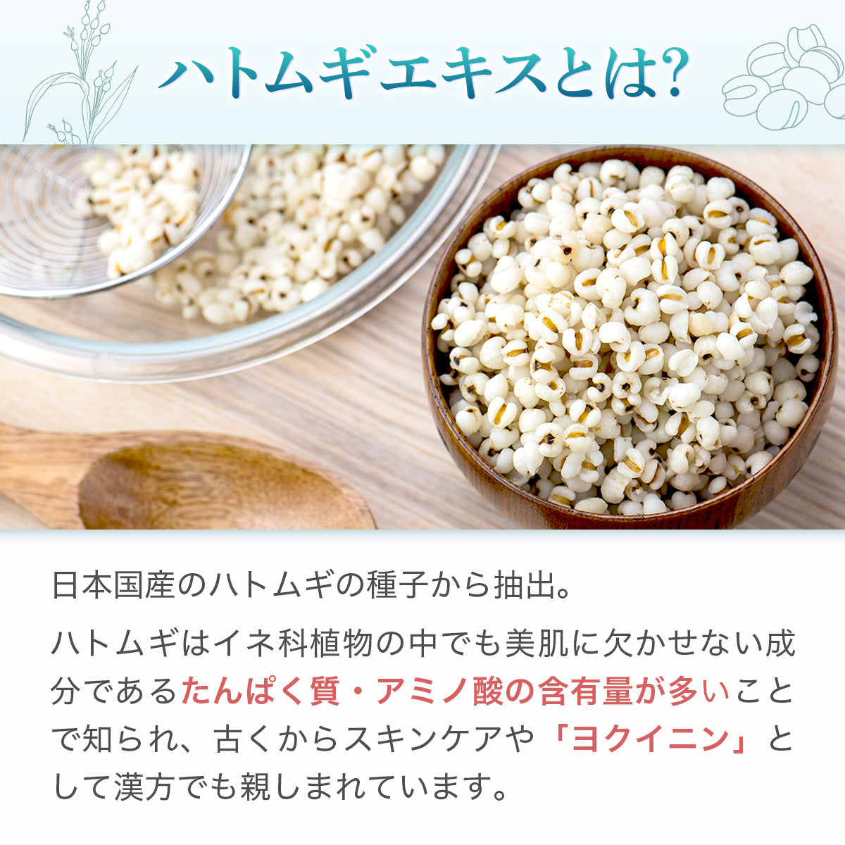 はとむぎページ つむぎ ハトムギ原液 100% ハトムギエキス 美容液 29ml｜つむぎコスメ